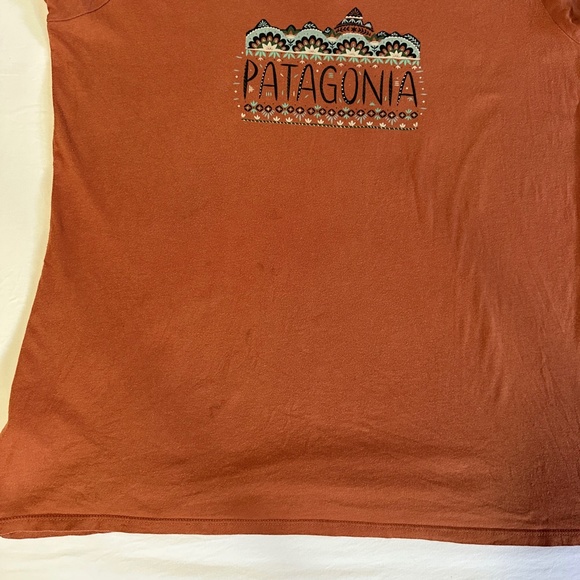 Patagonia Fitz Roy Graphic Short Sleeve V Neck Tee Shirt - L - Picture 13 of 16
